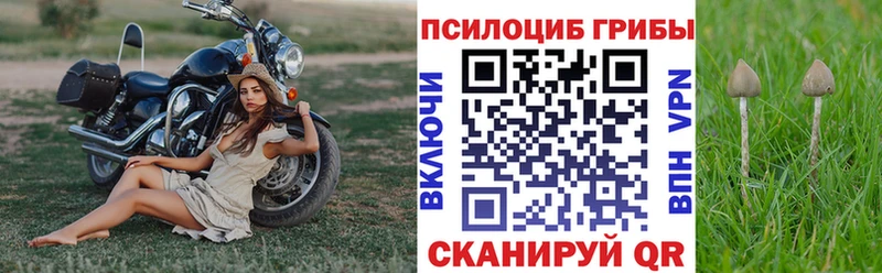 где продают   Дыгулыбгей  гидра ССЫЛКА  Псилоцибиновые грибы мицелий 